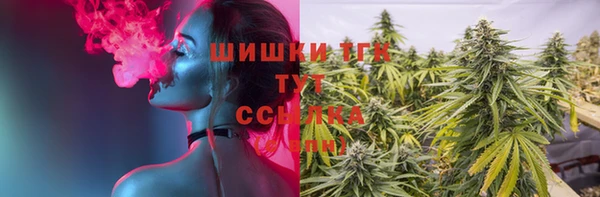 шишки Горно-Алтайск