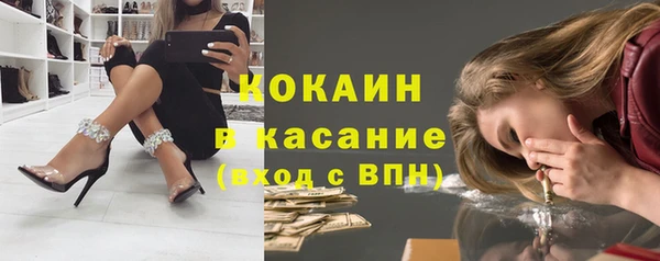 шишки Горно-Алтайск