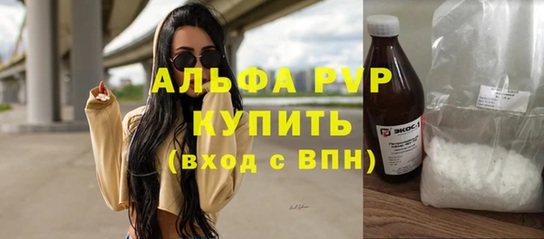 шишки Горно-Алтайск