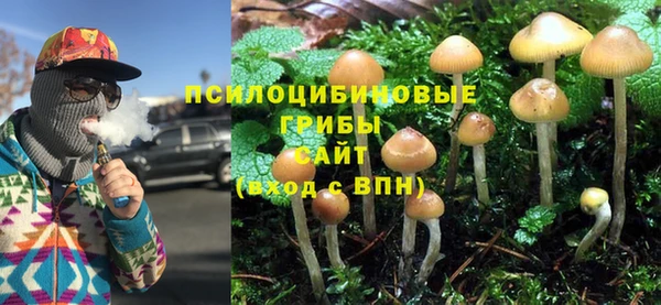 меф Горняк