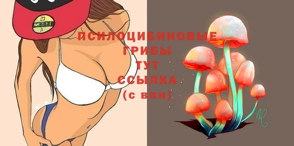 твердый Горнозаводск