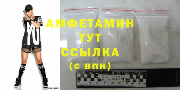 шишки Горно-Алтайск