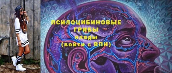 шишки Горно-Алтайск
