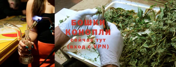 твердый Горнозаводск