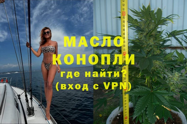 шишки Горно-Алтайск