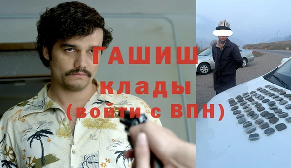 шишки Горно-Алтайск