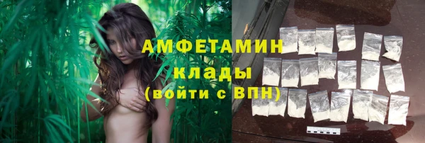 шишки Горно-Алтайск