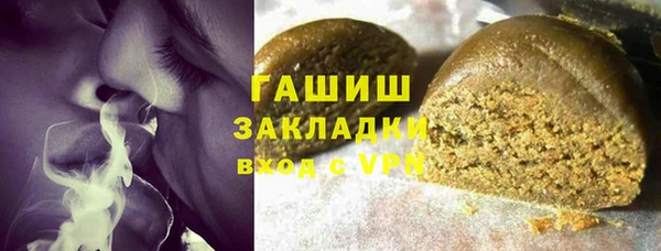 шишки Горно-Алтайск