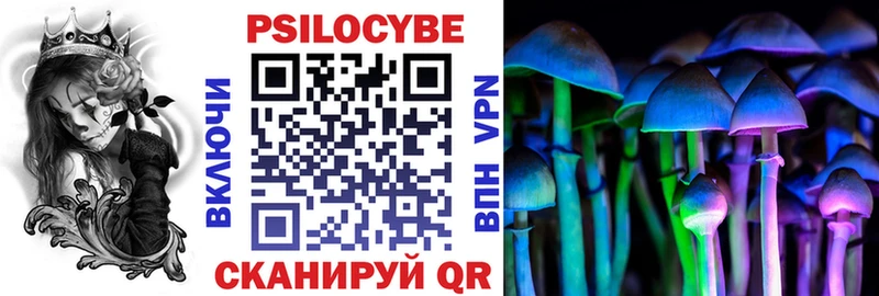Псилоцибиновые грибы Psilocybine cubensis  kraken онион  Щёкино 