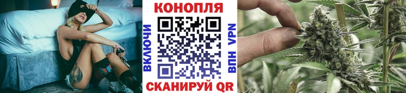 Шишки марихуана ГИДРОПОН  купить наркоту  Щёкино 
